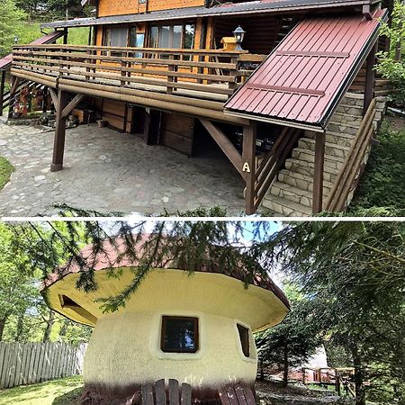 Art Apartments Minic Kolasin Ngoại thất bức ảnh